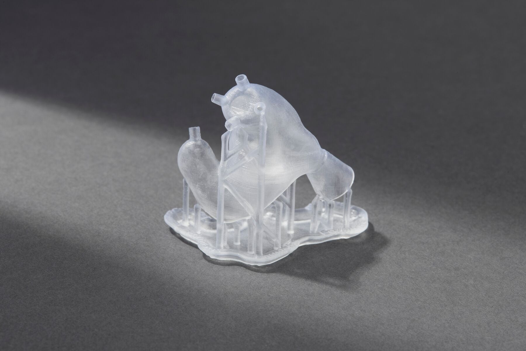 3d printed ear buds
