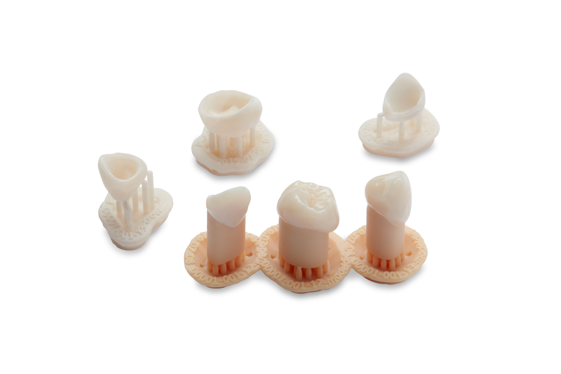 Permanent Crown Resin (Form 3B)
