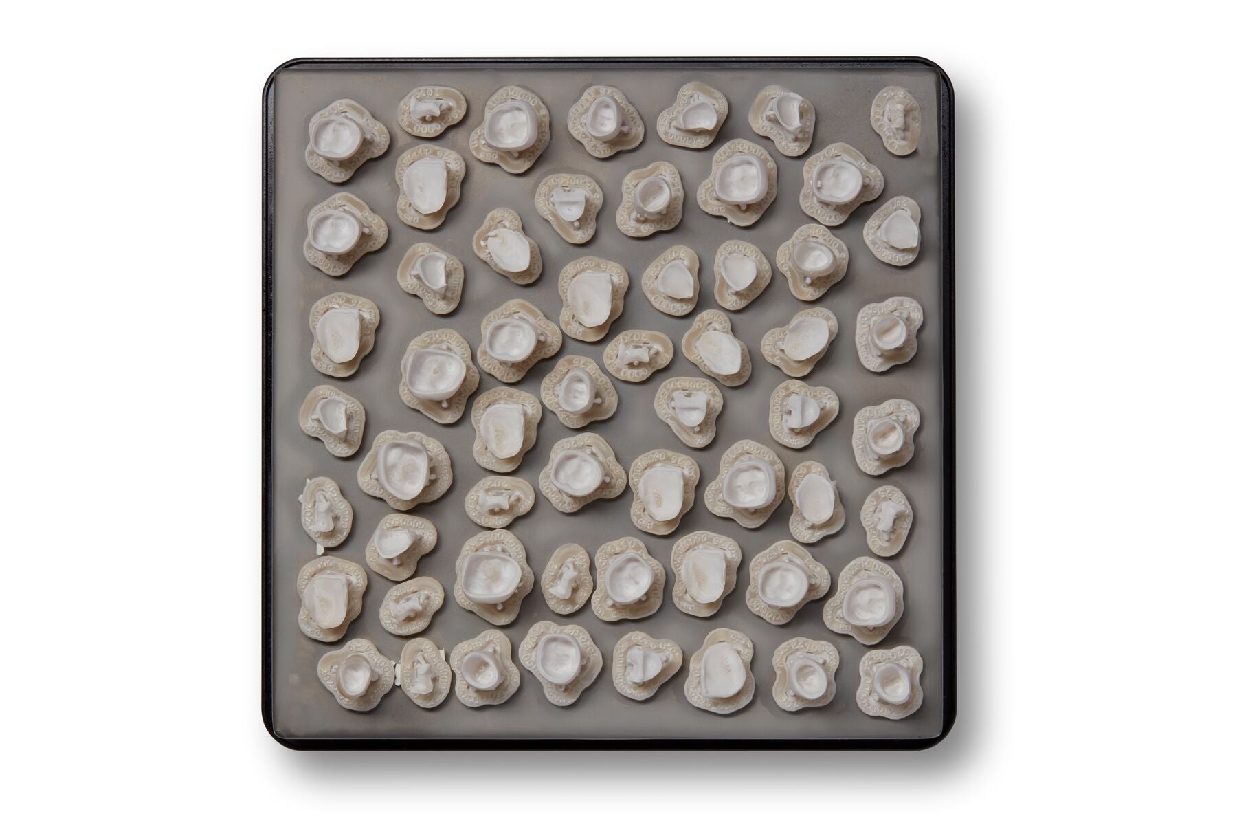 Permanent Crown Resin (Form 3B)