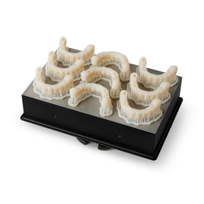 Dental 3D Printing Perth