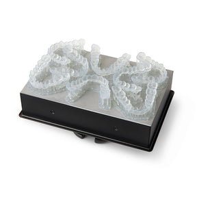 Dental Prints On The Form 4B