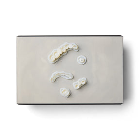 Form 4B Dental Print
