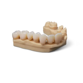 Premium Teeth Resin (Form 4)