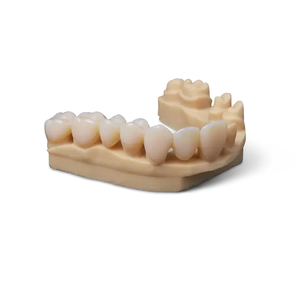 Premium Teeth Resin (Form 4)