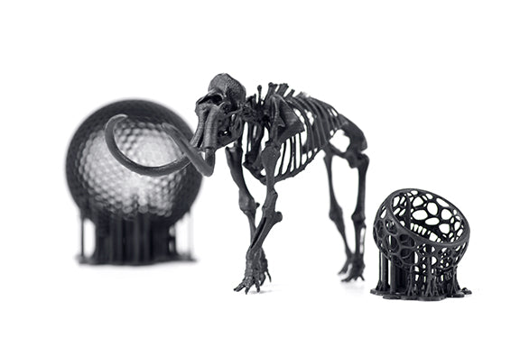 3D Printed Black Elephant Skeleton