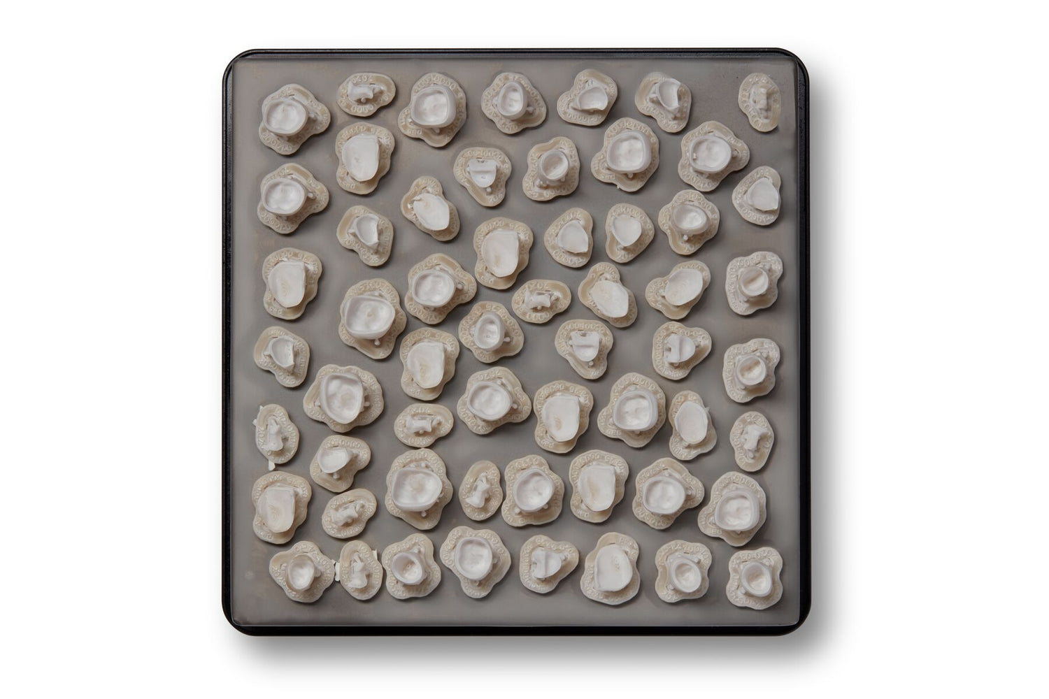 Permanent Crown Resin | Formlabs Authorised Retailer | 3D Printers Perth
